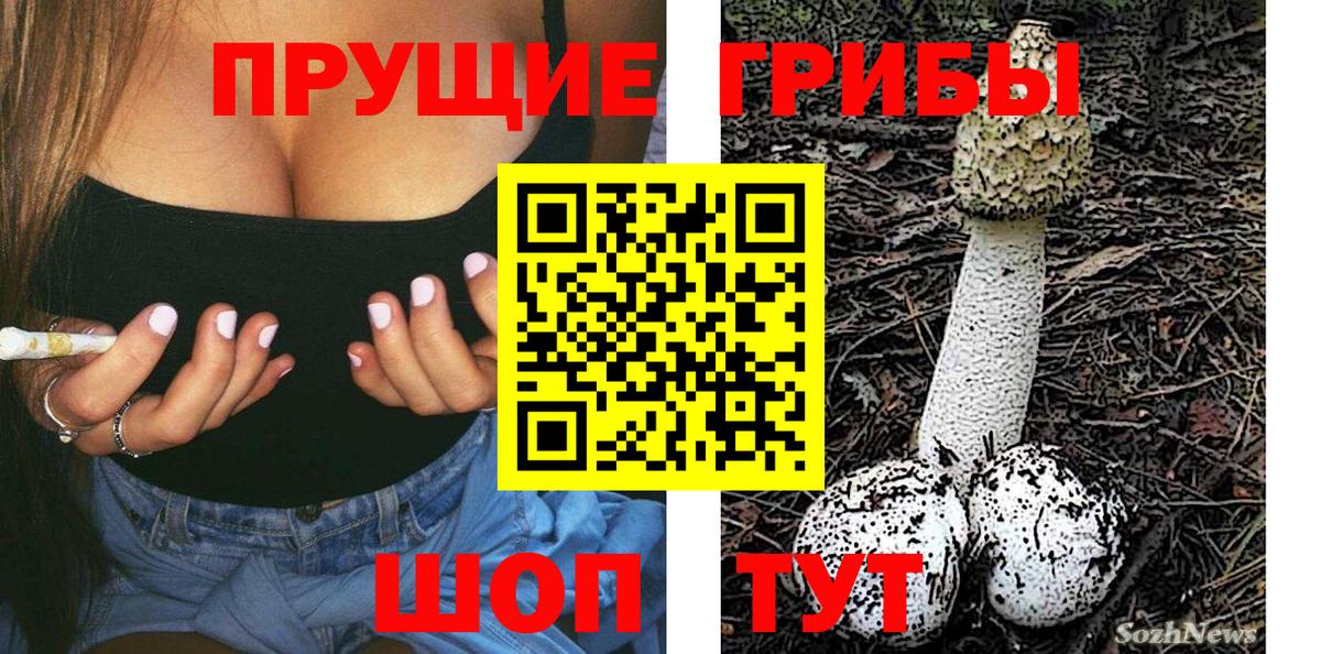 Галлюциногенные грибы Magic Shrooms  Псилоцибиновые грибы ЛСД  Малоярославец  Вход с VPN 